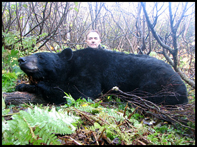 Alaska Black Bear Hunting