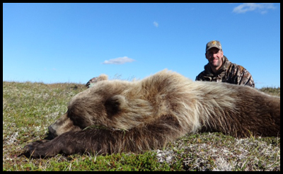 Brown Bear Hunting in Aladka