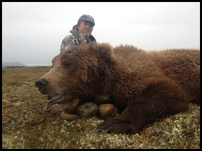 Brown Bear Hunting in Alaska