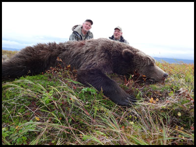 Alaska Brown Bear Hunting