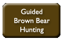 Guided Grizzly Brown Bear Hunting