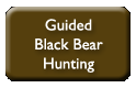 Guided Black Bear Hunting