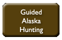 Guided Alaska Hunting