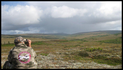 Guided Alaska Hunting - Willie Dvorak, Master Guide