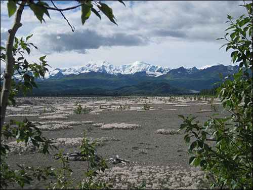 Remote Alaska Bear and Fishing Camp